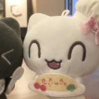 猫猫